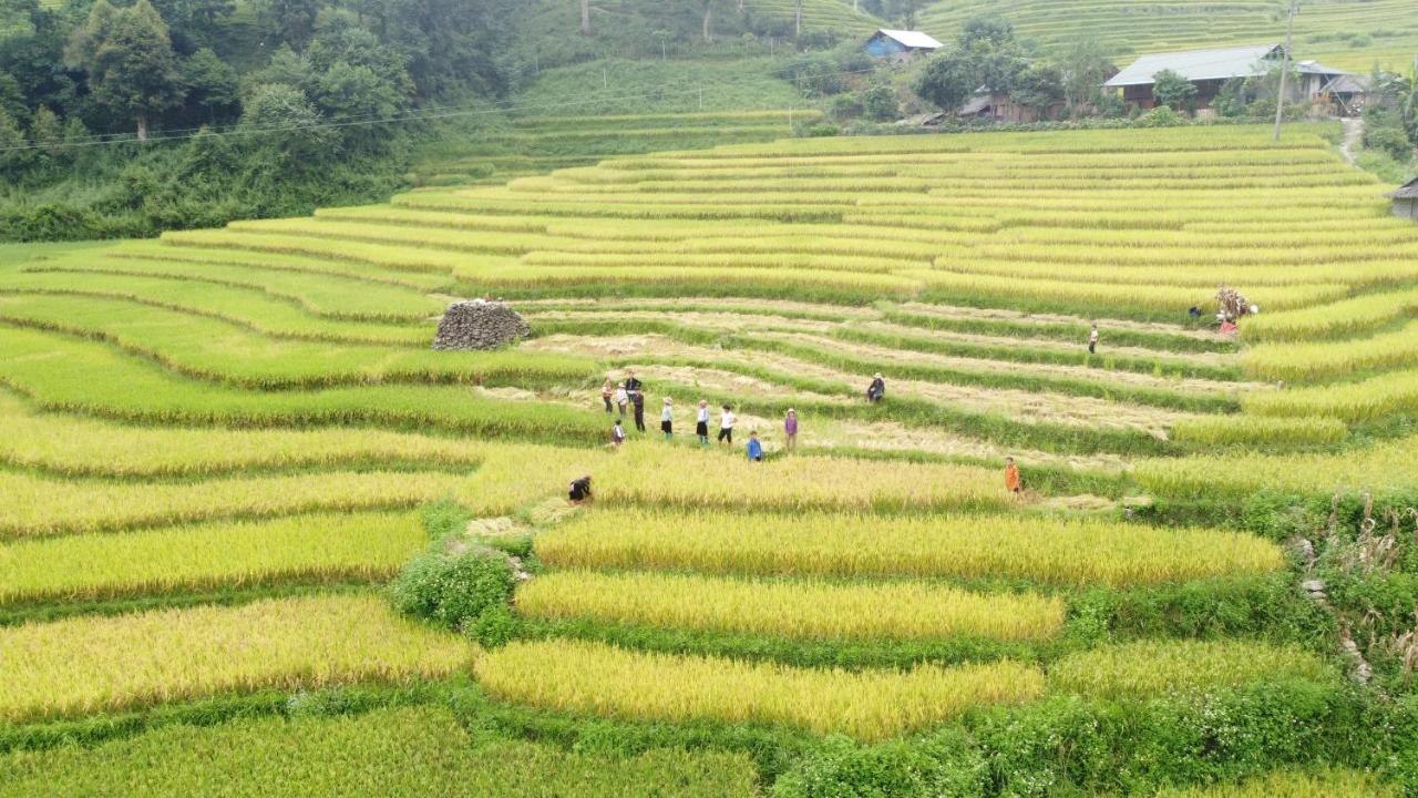 May Homestay Sapa Exterior foto